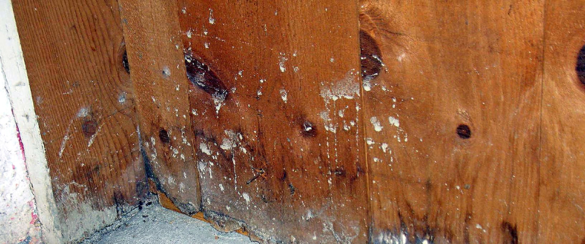 7 Ways to Protect Your Home from Water Damage