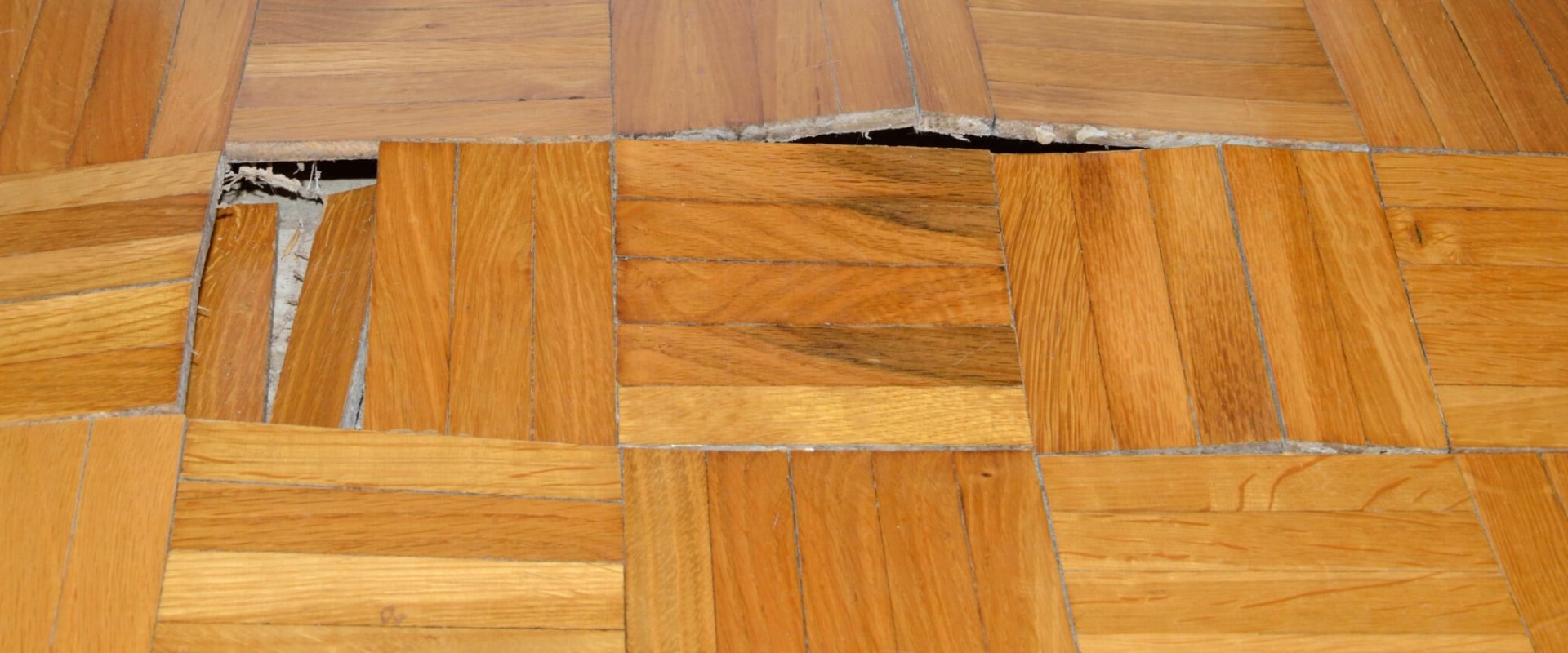 Should You Replace Water Damaged Wood?
