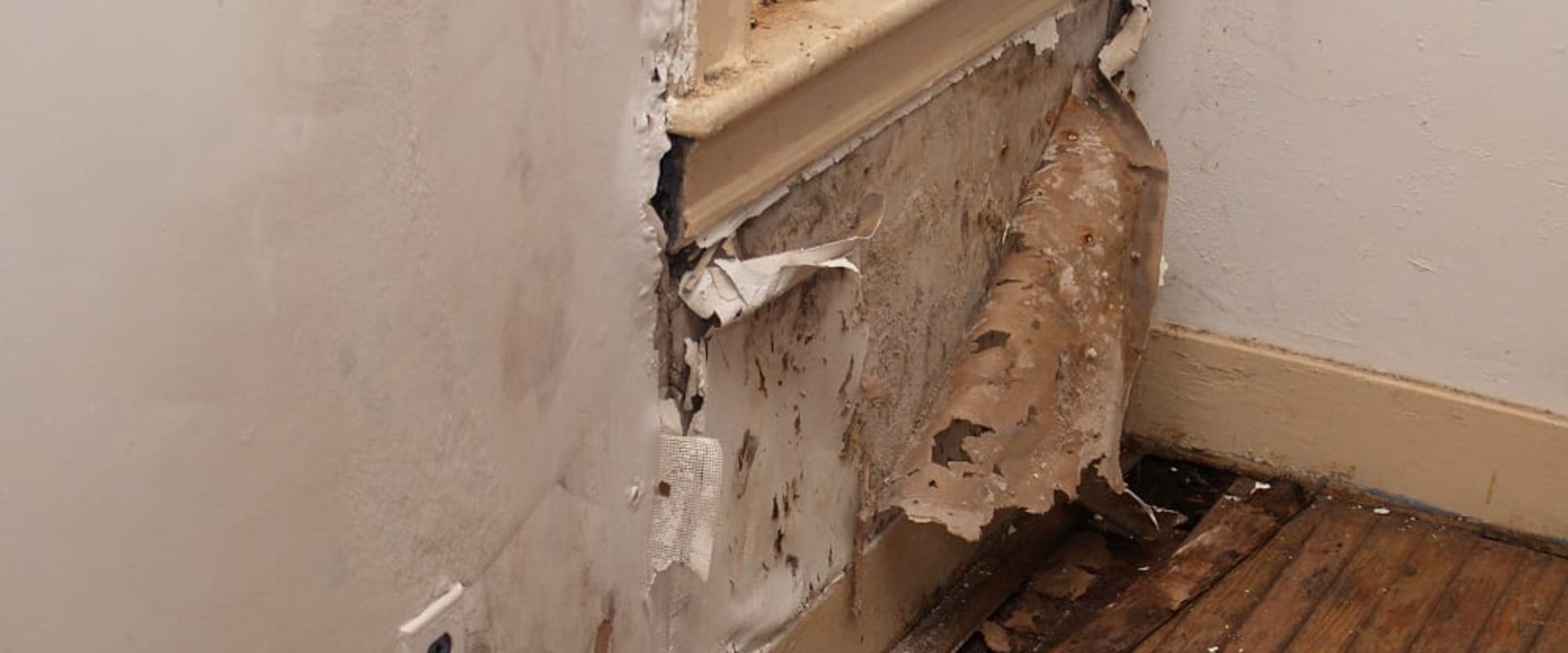 How Common is Water Damage in a Home?