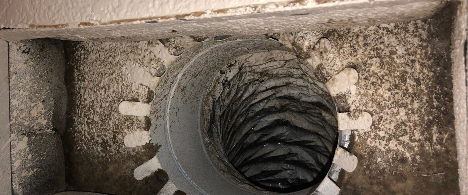 What are signs of mold in the air ducts?