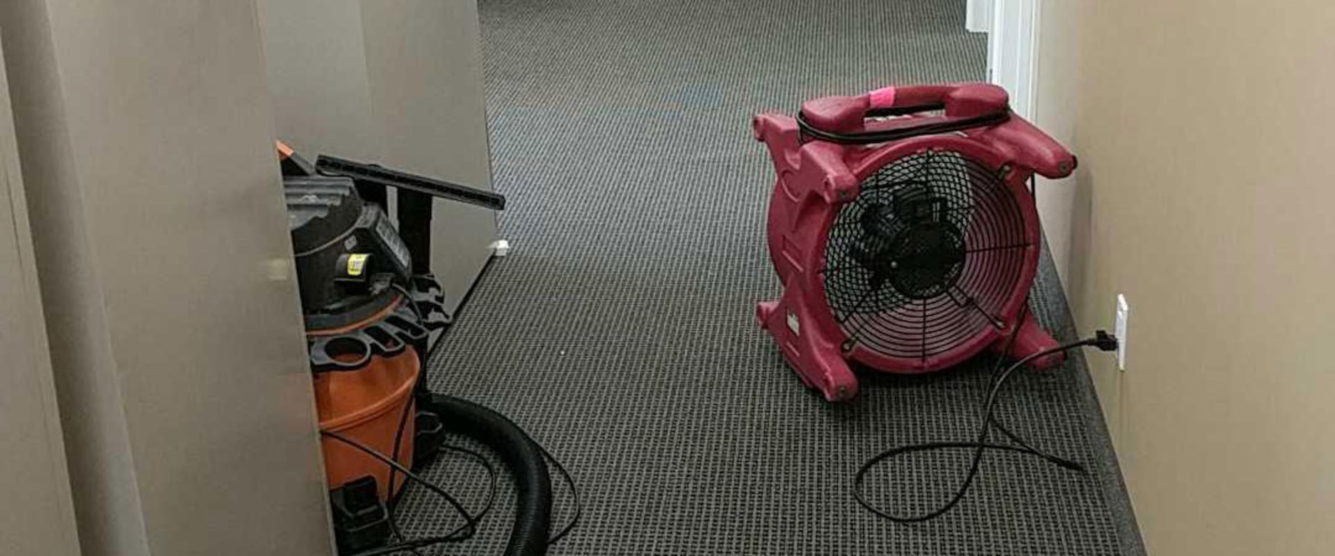 Can You Salvage Water Damaged Carpet? Expert Advice on Restoration