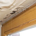 What Certifications are Needed for Water Damage Restoration?