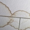 What is foundation water damage insurance?