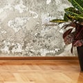 The Serious Consequences of Unaddressed Water Damage