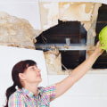Does Water Damage Show Up Immediately? A Comprehensive Guide