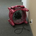 Can You Salvage Water Damaged Carpet? Expert Advice on Restoration