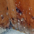 What are the Most Common Causes of Water Damage?