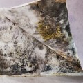 Signs of Water Damage in Your Home: What to Look For