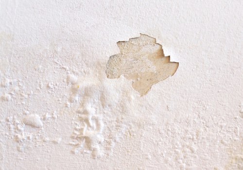 How do you use a dehumidifier for water damage?
