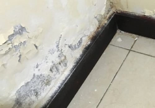 How to Detect and Restore Water Damage in Walls
