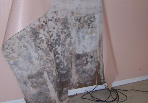 How do you get rid of mold behind walls?