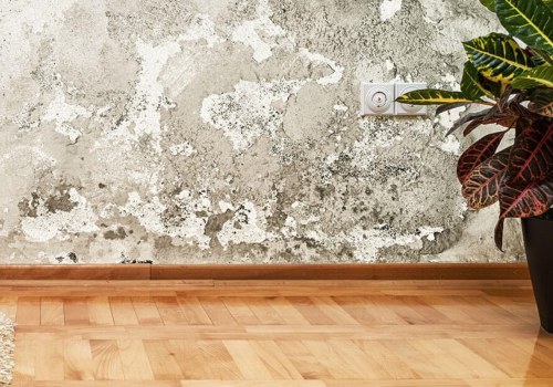 The Serious Consequences of Unaddressed Water Damage