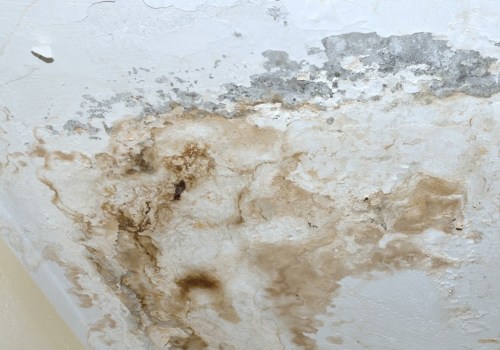 The Dangers of Water Damage in Your Home