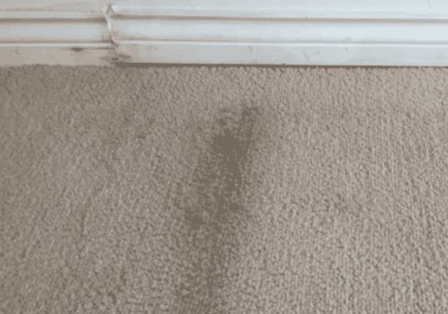How to Repair Water Damaged Carpet Quickly and Effectively