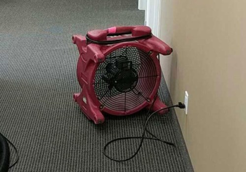 Can You Salvage Water Damaged Carpet? Expert Advice on Restoration