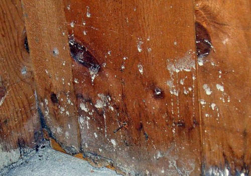 What are the Most Common Causes of Water Damage?
