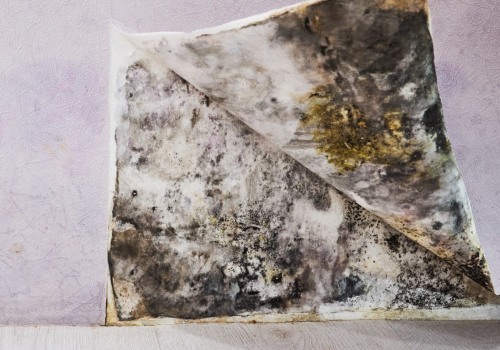 Restoring Items Damaged by Water: What Materials to Use