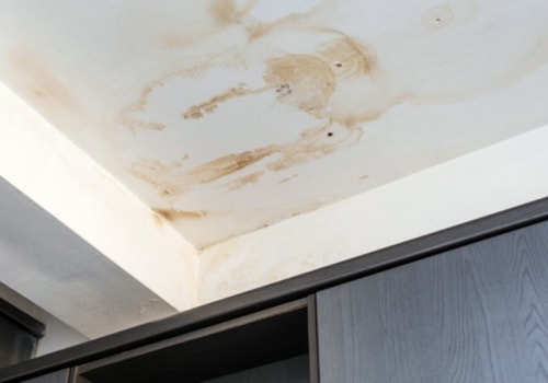 What primer to use on water damaged ceiling?